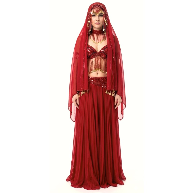 DEGUISEMENT DANSEUSE DU VENTRE LUXE ROUGE TAILLE M