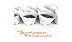 10 CONES EN PAPIER JOURNEE PARFAITE POUR CONFETTIS OU PETALES DE FLEURS