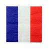20 SERVIETTES DRAPEAU FRANCE 33 X 33 CM 