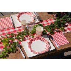 10 ASSIETTES VICHY ROUGE ET BLANC CAMPAGNE 21 CM