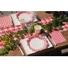 10 ASSIETTES VICHY ROUGE ET BLANC CAMPAGNE 21 CM