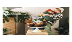 DECORATION CAKE TOPPERS DINOSAURE 6 PIECES 8 A 12 CM