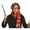 KIT HARRY POTTER ECOLE DE MAIE GRIFFONDOR ECHARPE + LUNETTES