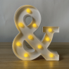 DECORATION LED ESPERLUETTE & 25 CM BLANC CHAUD