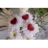 40 CONFETTIS COEUR EN TISSU ROUGE DE 2.5 CM 