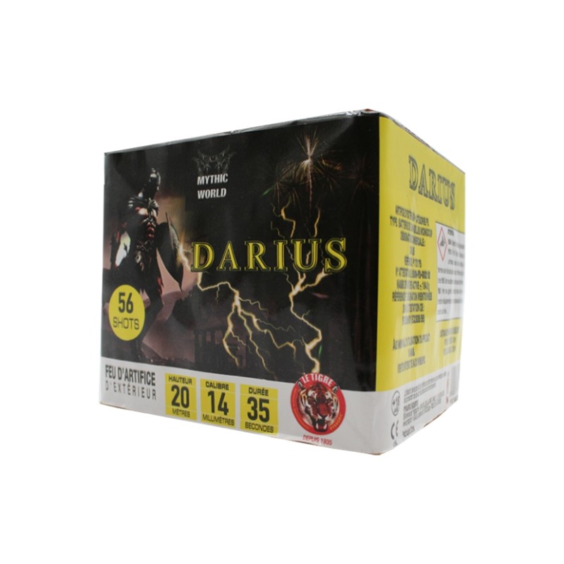 COMPACT DARIUS 56 COUPS