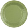10 ASSIETTES CARTON RONDE VERT OLIVE 18 CM 