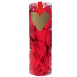 PETALE DE ROSE ROUGE SAINT VALENTIN ( 288 )