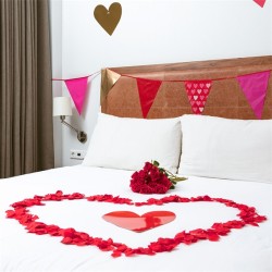 PETALE DE ROSE ROUGE SAINT VALENTIN ( 288 )