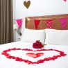 PETALE DE ROSE ROUGE SAINT VALENTIN ( 288 )