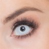 LENTILLES SEMAINE ZOMBIE (BLANC)