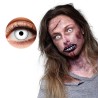 LENTILLES BLANC 1 SEMAINE