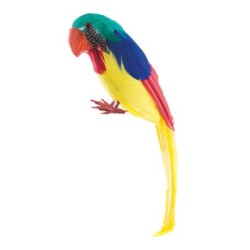 PERROQUET 30 CM EN PLUMES MULTICOLORES