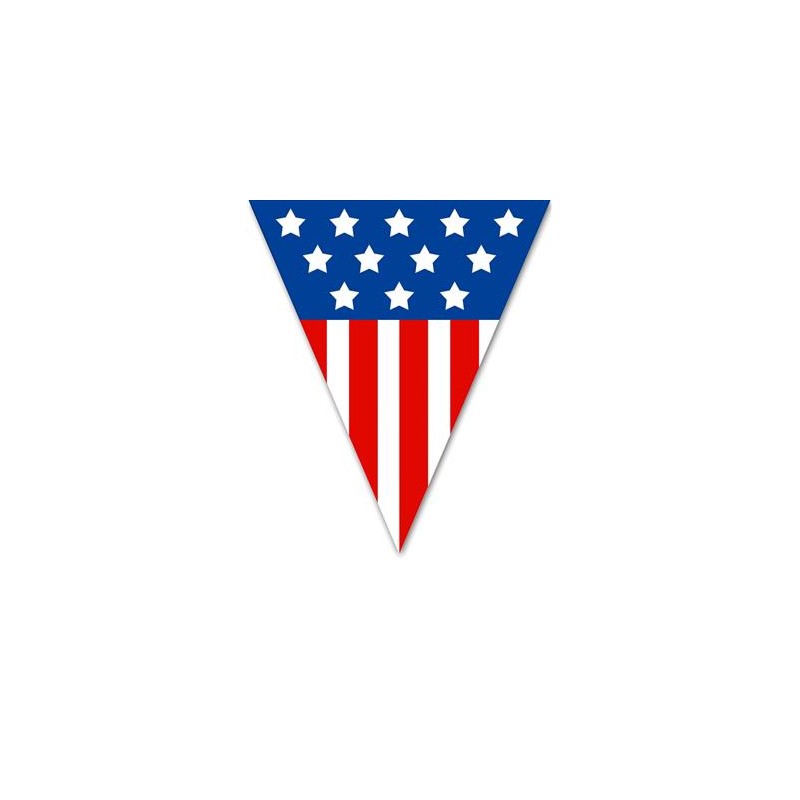 GUIRLANDE 5 METRES 10 FANIONS PLASTIFIES ETATS UNIS USA 20 X 28 CM