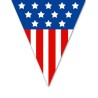 GUIRLANDE 5 METRES 10 FANIONS PLASTIFIES ETATS UNIS USA 20 X 28 CM