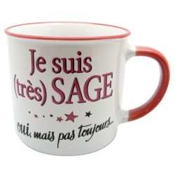 MUG JE SUIS TRES SAGE OUI MAIS PAS TOUJOURS