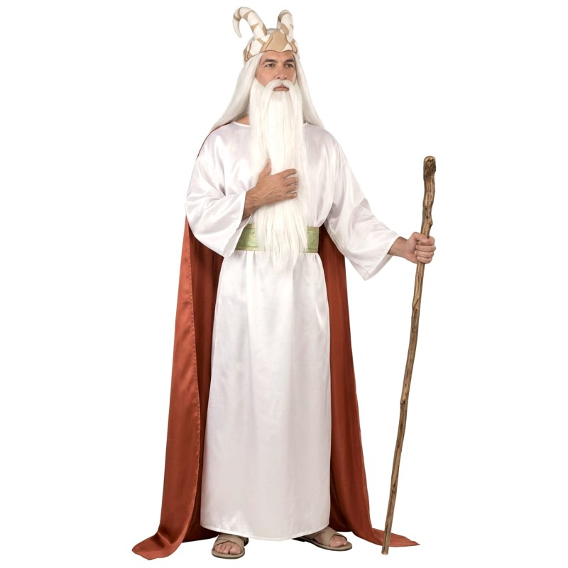DEGUISEMENT MAGICIEN POTION MAGIQUE TAILLE M/L