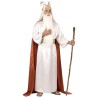 DEGUISEMENT MAGICIEN POTION MAGIQUE TAILLE M/L