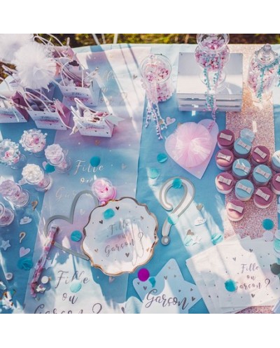 8 ASSIETTES  BABY SHOWER REVELATION FILLE OU GARCON 23 CM 