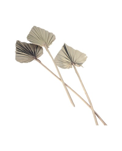 10 FEUILLES DE PALMIER DECOUPEES 55 CM NATUREL