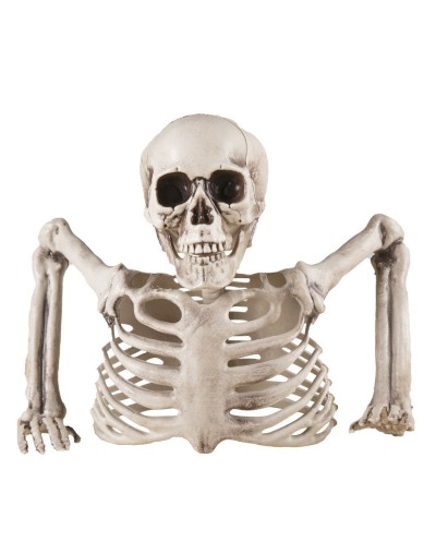 DECORATION DEMI SQUELETTE A POSER 20 CM 