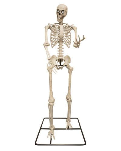 DECORATION HALLOWEEN SQUELETTE DE TITAN YEUX LUMINEUX 3.18 METRES