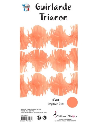 GUIRLANDE TRIANON PECHE 3 METRES