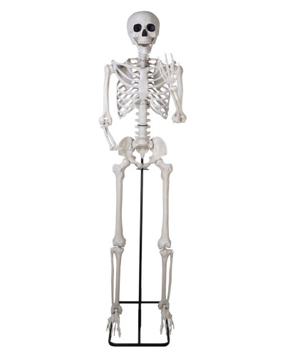 SQUELETTE SUR PIED ARTICULE DECORATION HALLOWEEN 213 CM
