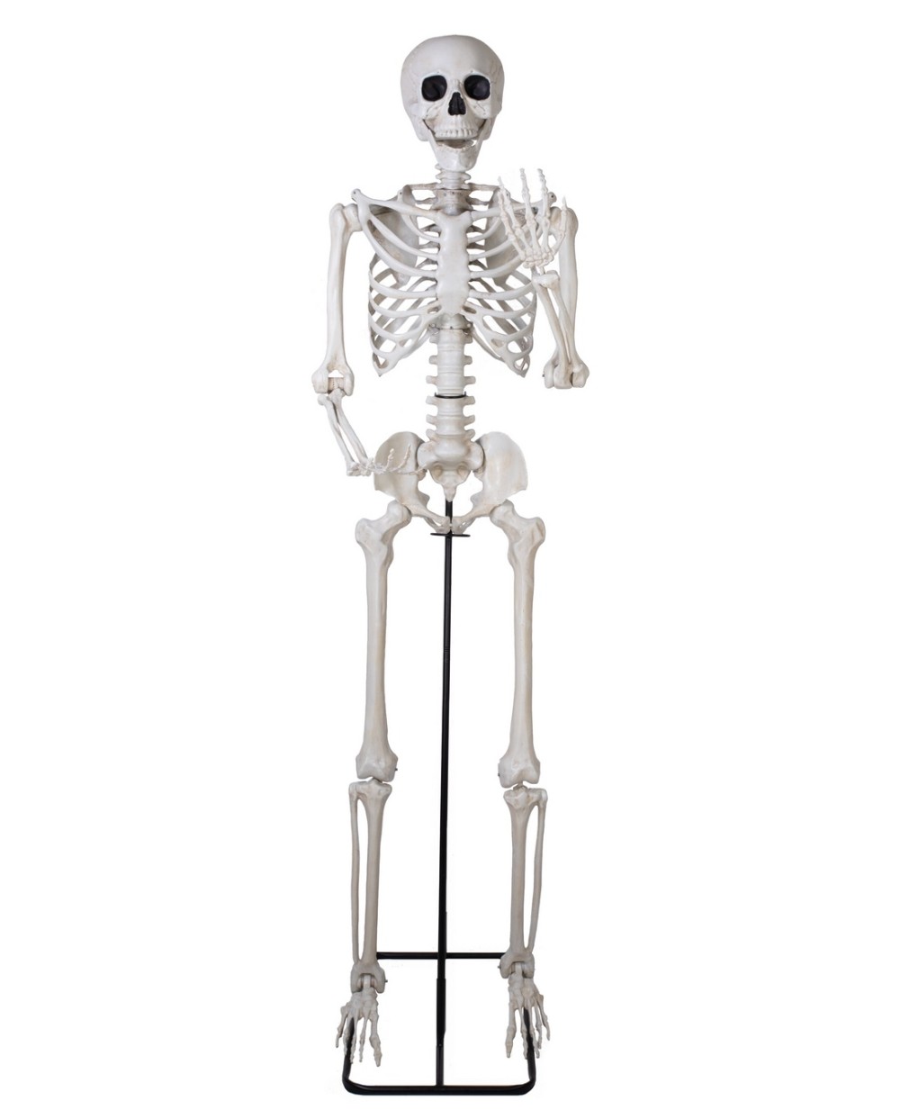 SQUELETTE SUR PIED ARTICULE DECORATION HALLOWEEN 213 CM