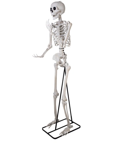 SQUELETTE SUR PIED ARTICULE DECORATION HALLOWEEN 213 CM