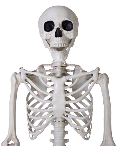 SQUELETTE SUR PIED ARTICULE DECORATION HALLOWEEN 213 CM