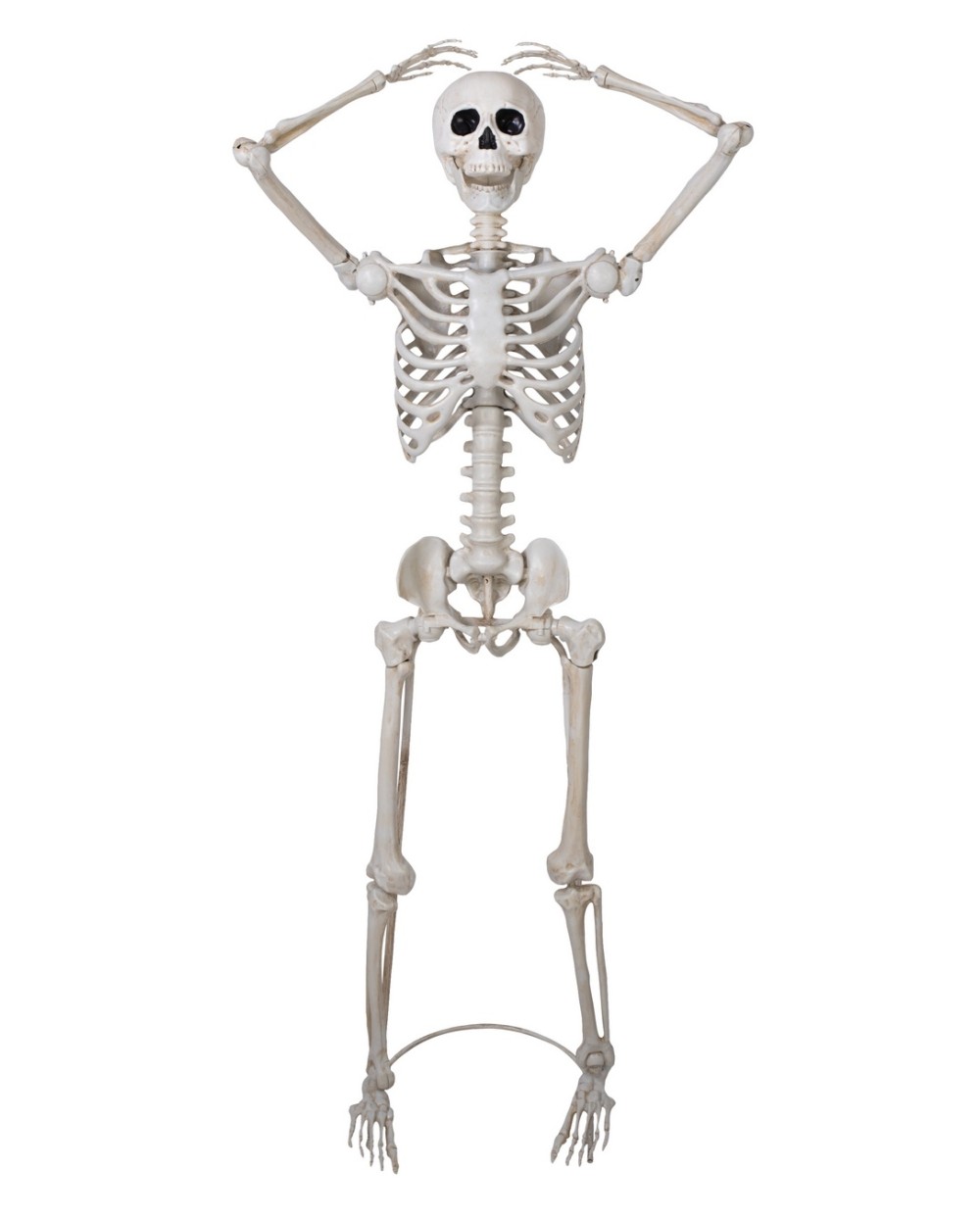 SQUELETTE SUR PIED ARTICULE DECORATION HALLOWEEN 152 CM