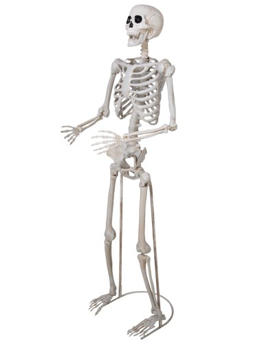 SQUELETTE SUR PIED ARTICULE DECORATION HALLOWEEN 152 CM