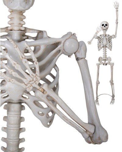 SQUELETTE SUR PIED ARTICULE DECORATION HALLOWEEN 152 CM