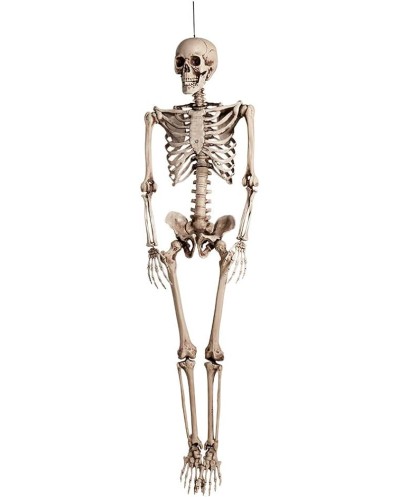 DECORATION HALLOWEEN SQUELETTE BOB 160 CM 