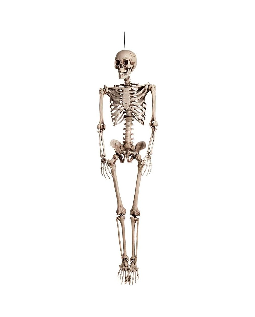 DECORATION HALLOWEEN SQUELETTE BOB 160 CM 