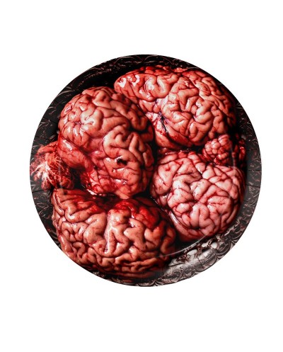 8 ASSIETTES RONDES HALLOWEEN CERVEAU 23 CM 