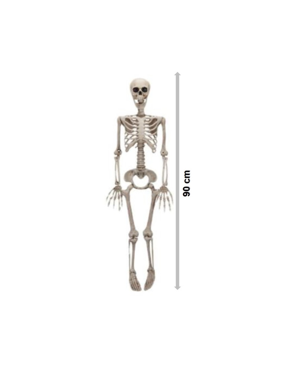 SQUELETTE A SUSPENDRE BOB 90 CM DECORATION HALLOWEEN