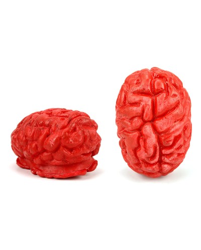FAUX CERVEAU HUMAIN EN VINYLE 
