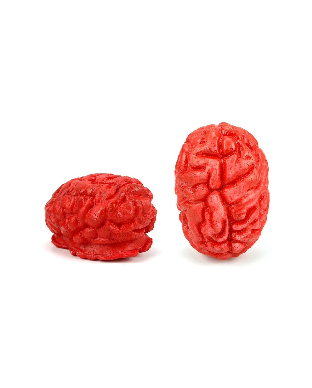 FAUX CERVEAU HUMAIN EN VINYLE 