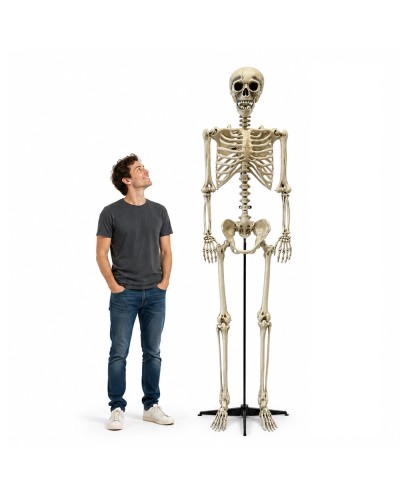 DECORATION HALLOWEEN SQUELETTE GEANT 240 CM