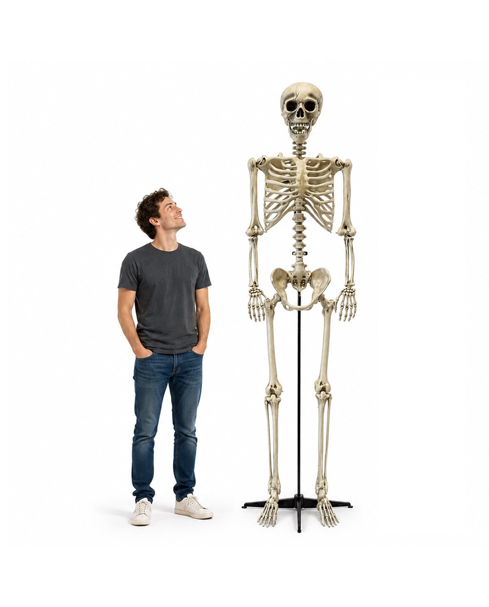 DECORATION HALLOWEEN SQUELETTE GEANT 240 CM