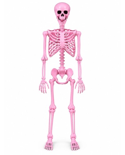 SQUELETTE ROSE 165CM DE HAUT PINKY SKULLY