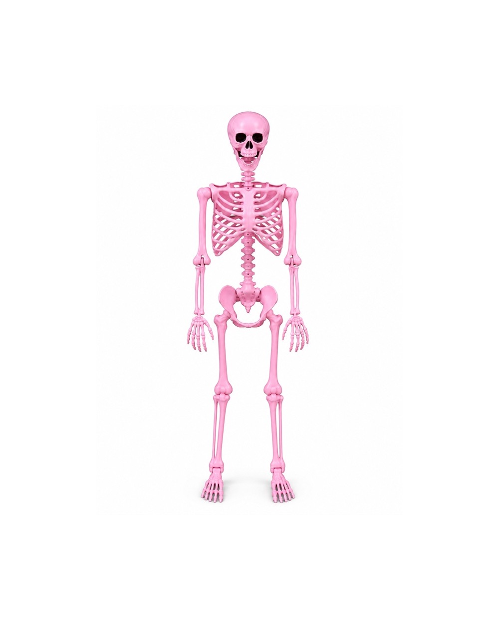 SQUELETTE ROSE 165CM DE HAUT PINKY SKULLY