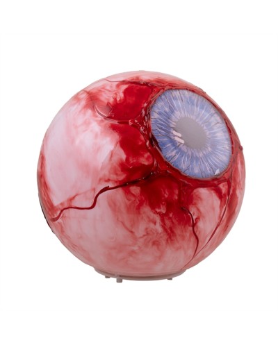 DECO HALLOWEEN ANIMATRONIC SON ET LUMIERE OEIL BOURSOUFLE 25 CM