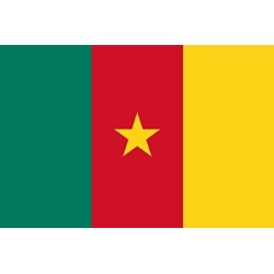 DRAPEAU CAMEROUN EN TISSUS 60 X 90 CM