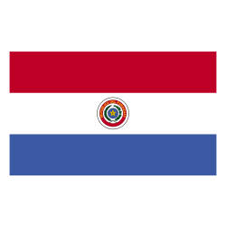 DRAPEAU DU PARAGUAY EN TISSUS 60 X 90 CM