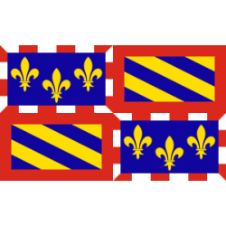 DRAPEAU BOURGOGNE EN TISSUS 90 X 150 CM