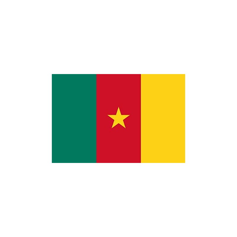 DRAPEAU EN TISSUS CAMEROUN 90 X 150 CM