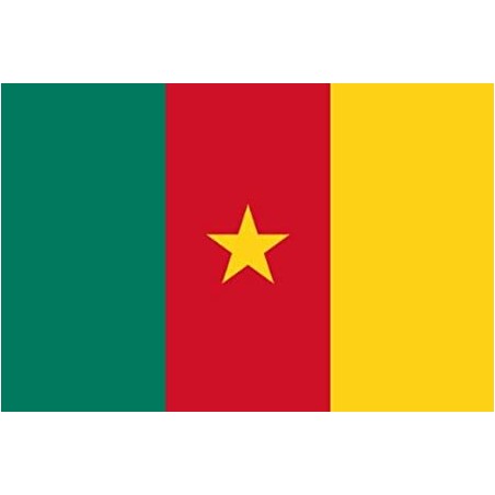 DRAPEAU EN TISSUS CAMEROUN 90 X 150 CM